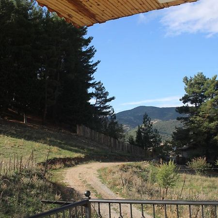 Velia Guesthouse Kalávrita Kültér fotó