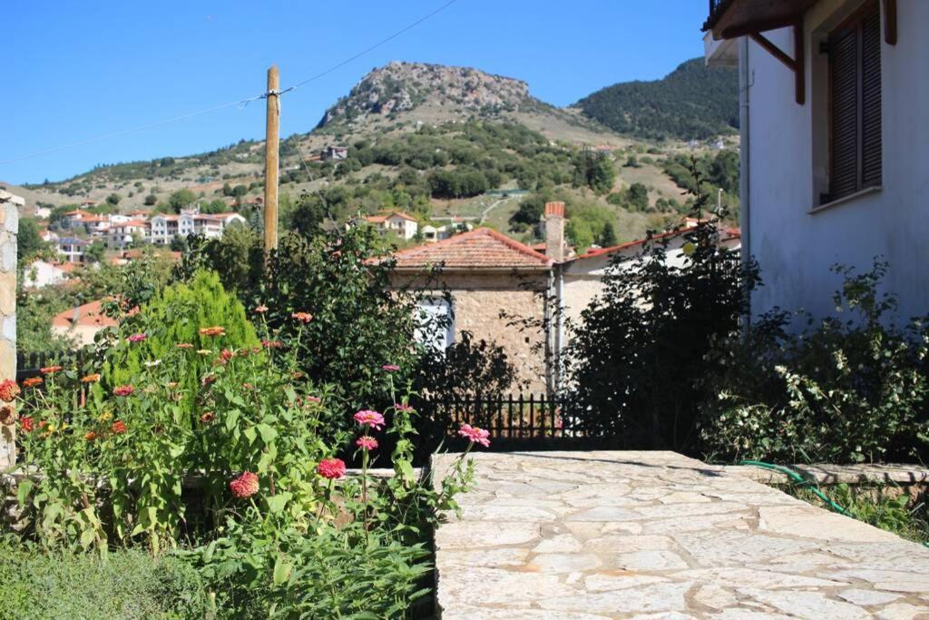 Velia Guesthouse Kalávrita Kültér fotó